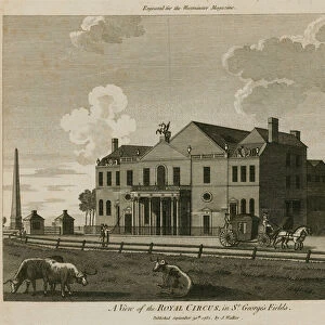 The Royal Circus in St Georges Fields, Surrey, near the Obelisk (engraving)
