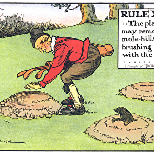 Rule XVIII: The player... may remove... mole-hills... by brushing lightly with the hand