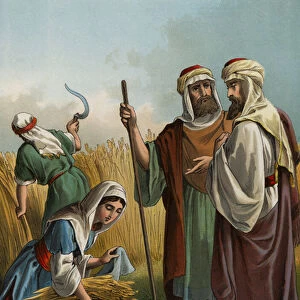 Ruth gleaning in the field of Boaz (chromolitho)