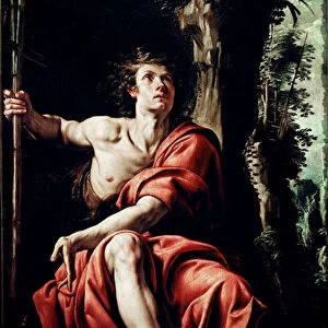 Saint John in the Desert Painting by Tanzio da Varallo (Antonio d