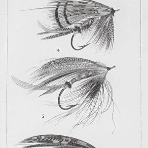 Salmon Flies (engraving)