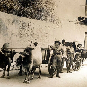 Salvaged British guns still useful, Zanzibar, 1914 (b / w photo)