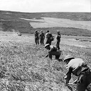 Sappers of the 237 Field Company, Royal Engineers, clearing a minefield in the aftermath