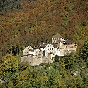 Country Tote Bag Collection: Liechtenstein