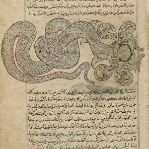 The Sea-Serpent / Dragon (al-Tannin), folio from Aja ib al-makhluqat