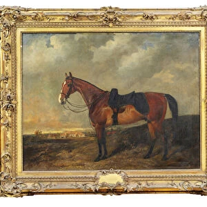 Shadrach, a chestnut hunter in a landscape, 1856 (oil on canvas)