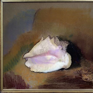 The shell. Pastel painting by Odilon Redon (1840-1916), 1912. Dim: 0. 51 x 0. 57