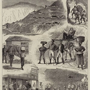 Sketches at Newcastle, Jamaica (engraving)