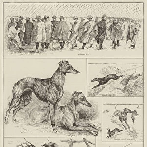 Sketches at the Waterloo Coursing Meeting, Altcar, near Liverpool (engraving)