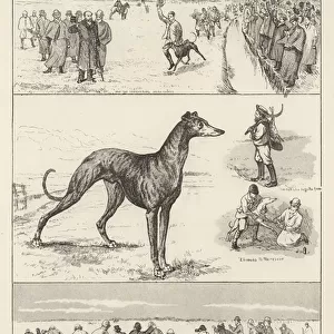 Sketches at the Waterloo Cup Meeting (engraving)