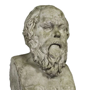 Socrates, the Greek philosopher (marble)