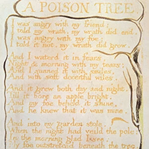 Songs of Experience; A Poison Tree, 1794 (relief etching, watercolour, pen)