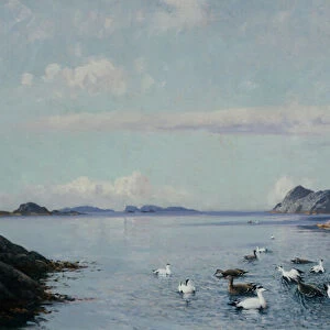 Southern coast with sea birds, 1907