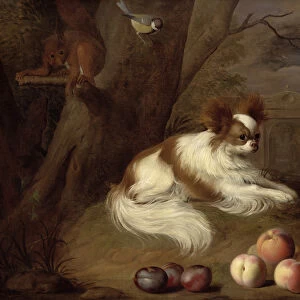 A Spaniel by a Tree with a Squirrel and a Blue-tit