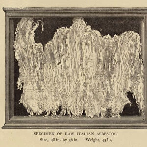 Specimen of Raw Italian Asbestos (engraving)