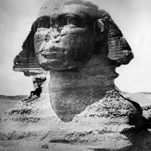 The Sphinx at Giza, c. 1870s-80s (b / w photo)