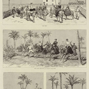 Sport in Egypt, a Ladies Paper-Chase on Donkeys (engraving)