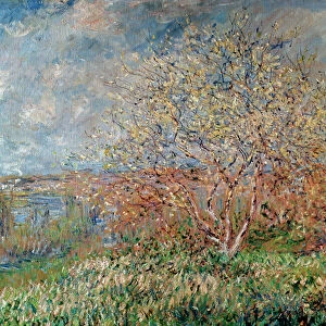 Spring, 1880-82 (oil on canvas)