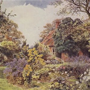 Stone Hall, Easton, the Friendship Garden (colour litho)