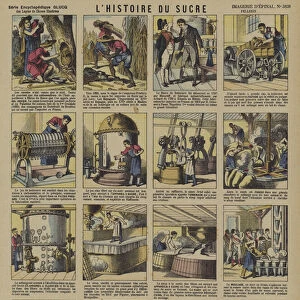 The story of sugar (colour litho)