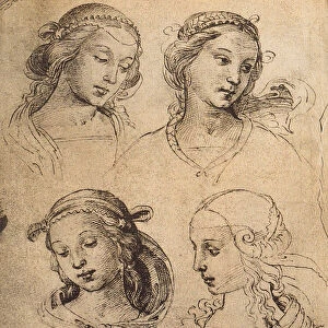 Study of four female faces; drawing by Raphael. Gallerie dell Accademia, Venice