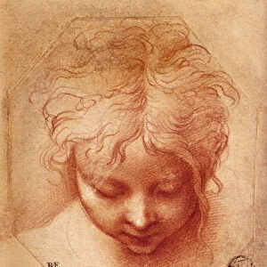Study of a Head (red chalk on paper)