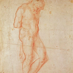 Study of a Nude (red chalk on paper)