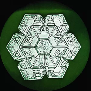 Study showing the form and structure of a Snowflake, c. 1902 (photo)