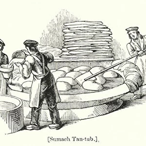 Sumach Tan-tub (engraving)