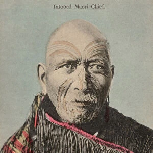Tatooed Maori Chief (photo)