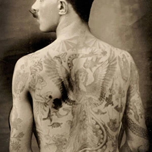 Tattooed British sailor during the Great War of 1914-18 (back view) (b / w photo