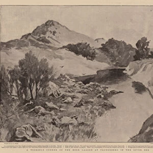 A Terrible Corner of the Boer Laager at Paardeberg in the River Bed (litho)
