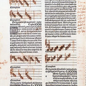 Text page and manuscript annotations from The Art of Music by Guillaume Despuig, 1495