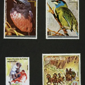 Equatorial Guinea Pillow Collection: Related Images