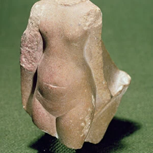 Museums Collection: Petrie of Egyptian Archaeology