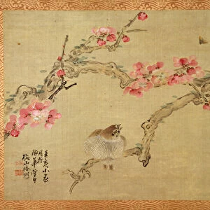 Tree blossom and bird, 1851 (watercolour on silk)