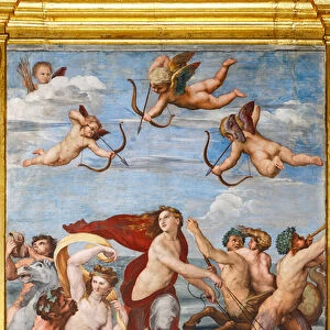 The Triumph of Galatea, 1513-14 (fresco)