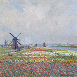 Tulip fields near The Hague par Monet, Claude (1840-1926)