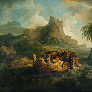 Tygers at Play, c. 1763-8