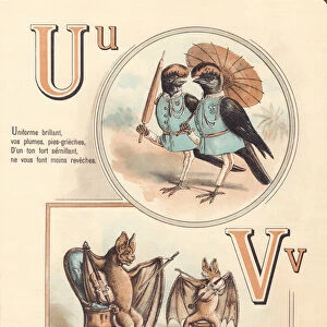 U V: Urubu, uniform, vampire, violin