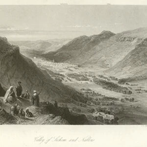 Valley of Sichem and Nablus, Palestine (engraving)