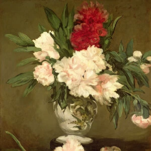 Vase of Peonies on a Small Pedestal, 1864 (oil on canvas)