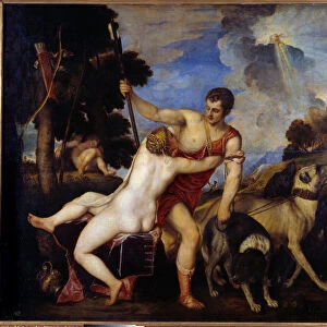 Venus and Adonis. Painting by Tiziano Vecellio said The Titian (1485-1576), 1554