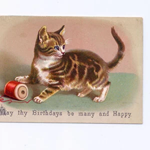 A Victorian Birthday card of akitten playing with a red cotton reel, c