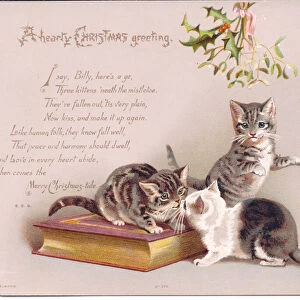 A Victorian Christmas card of two kittens kissing under a mistletoe while a third looks