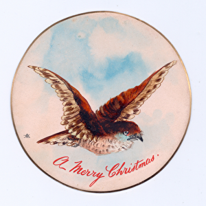 Victorian circular Christmas card of a bird in flight, c. 1900 (colour litho)