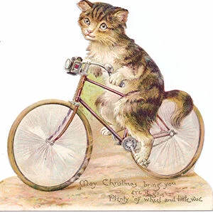 A Victorian Die-cut Shape Christmas card of cat riding a bicycle, c. 1880 (colour litho)