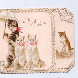 A Victorian greeting card of a cat holding a parasol with two kittens, c