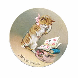A Victorian oval Christmas card of a kitten looking at a book of alphabets, c