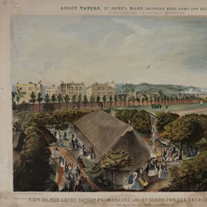 View of the Abbey Taverns promenades and grounds, Violet Hill, Marylebone, c